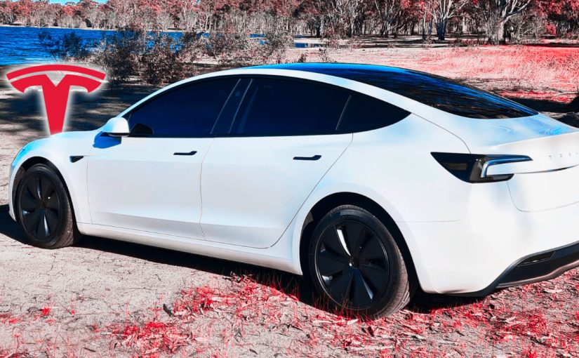 Tesla Delivery Day Experience – Mulgrave Australia